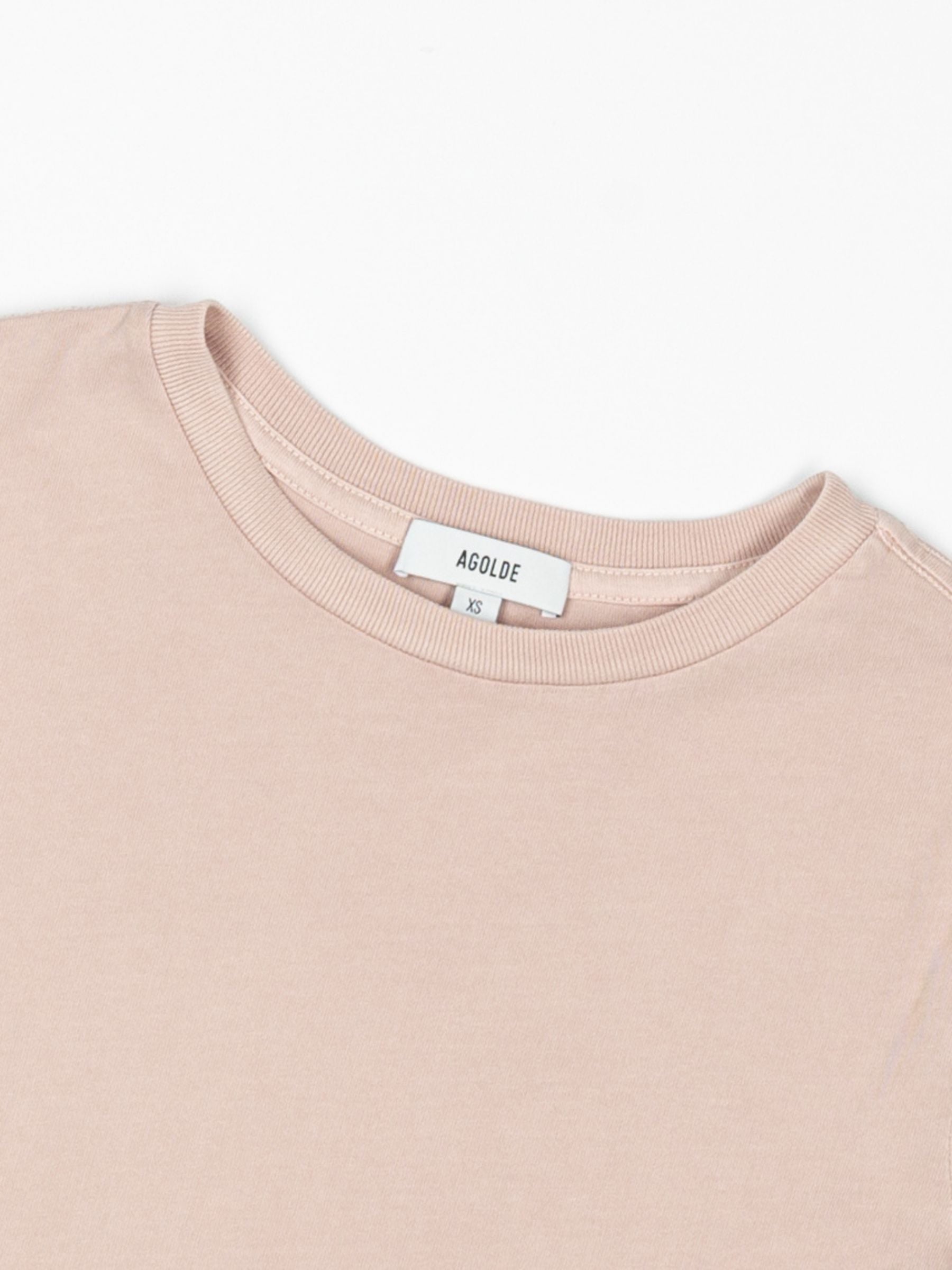 Agolde Adine Longline Sleeve Tee Wallflower