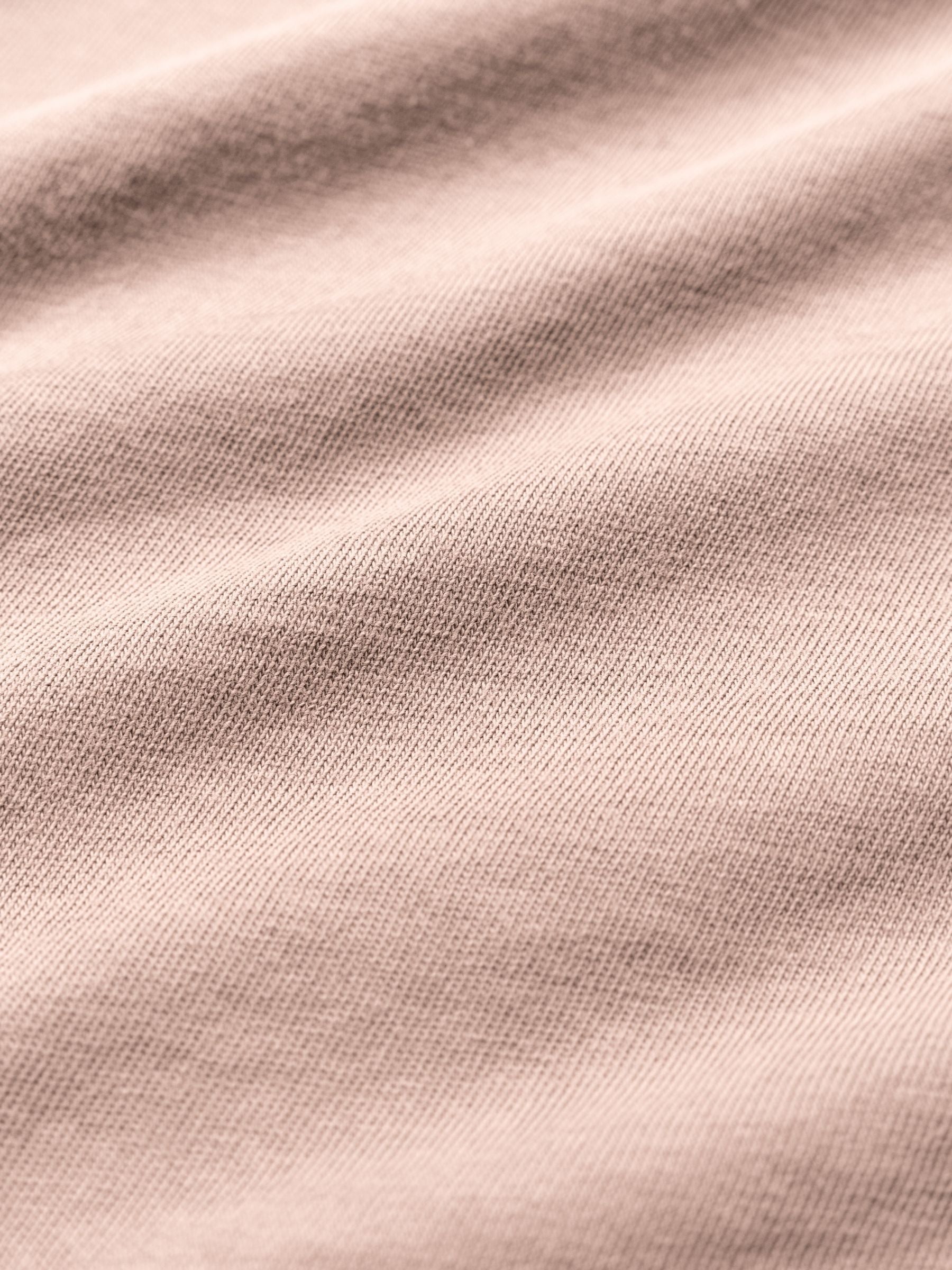 Agolde Adine Longline Sleeve Tee Wallflower