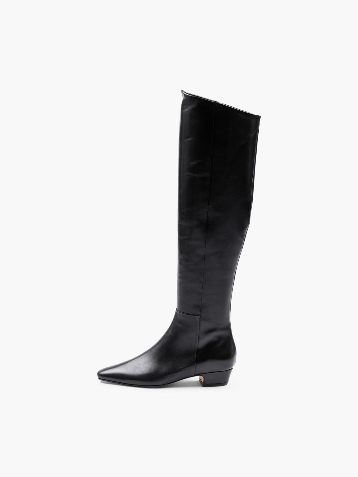 Aeyde Ilaria Calf Leather Boots Black