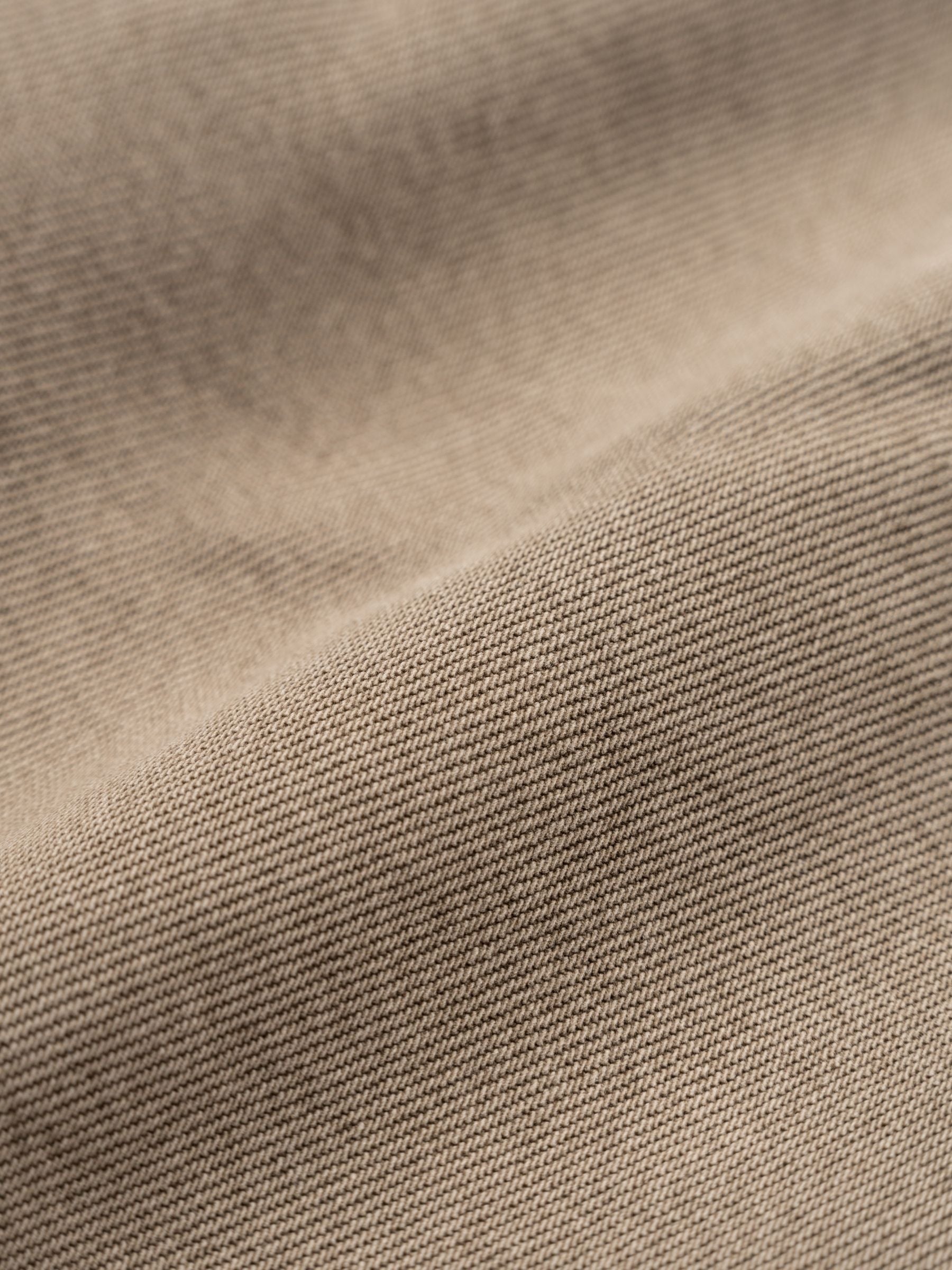 Agolde Low Slung Baggy Pants Trail