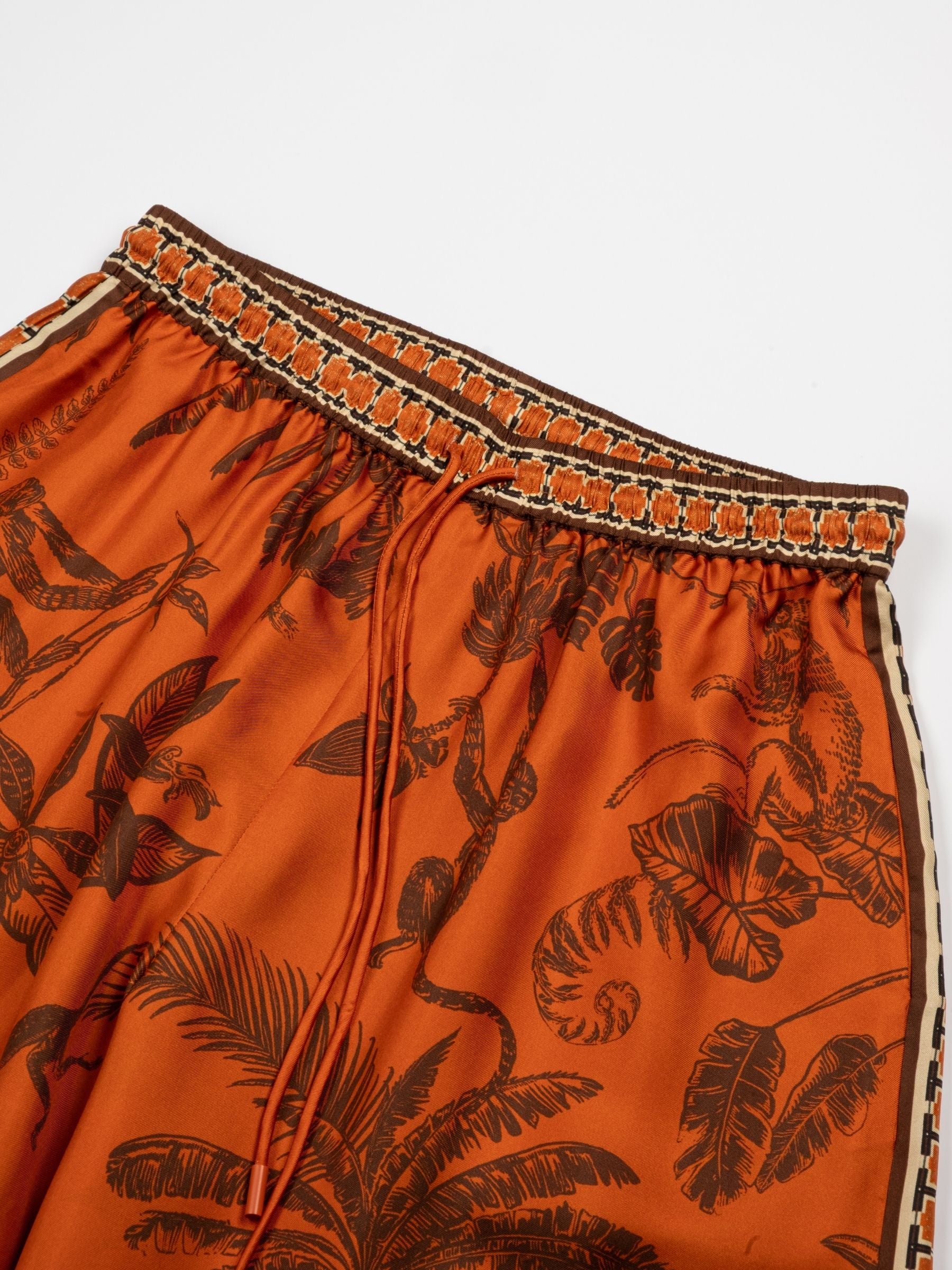 Alemais Monkey Dance Silk Palazzo Pant Rust