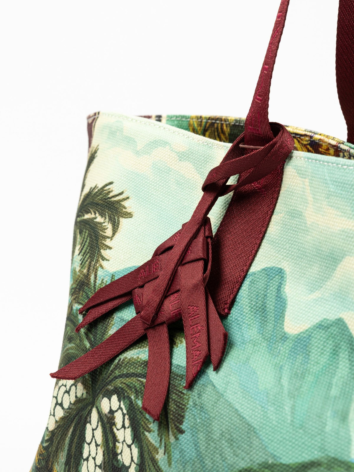 Alemais Lucena Beach Tote