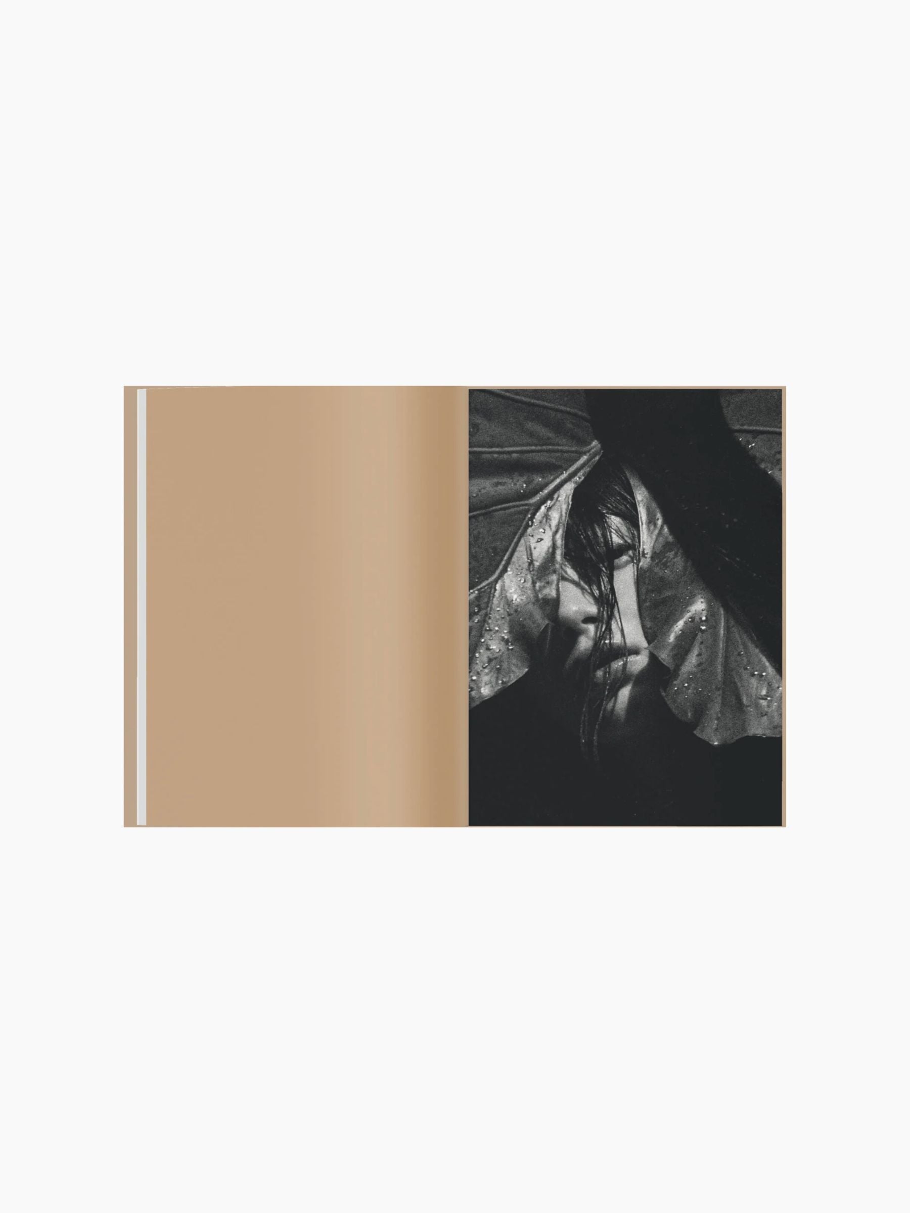 Mirage - Kate Bellm - La Selva
