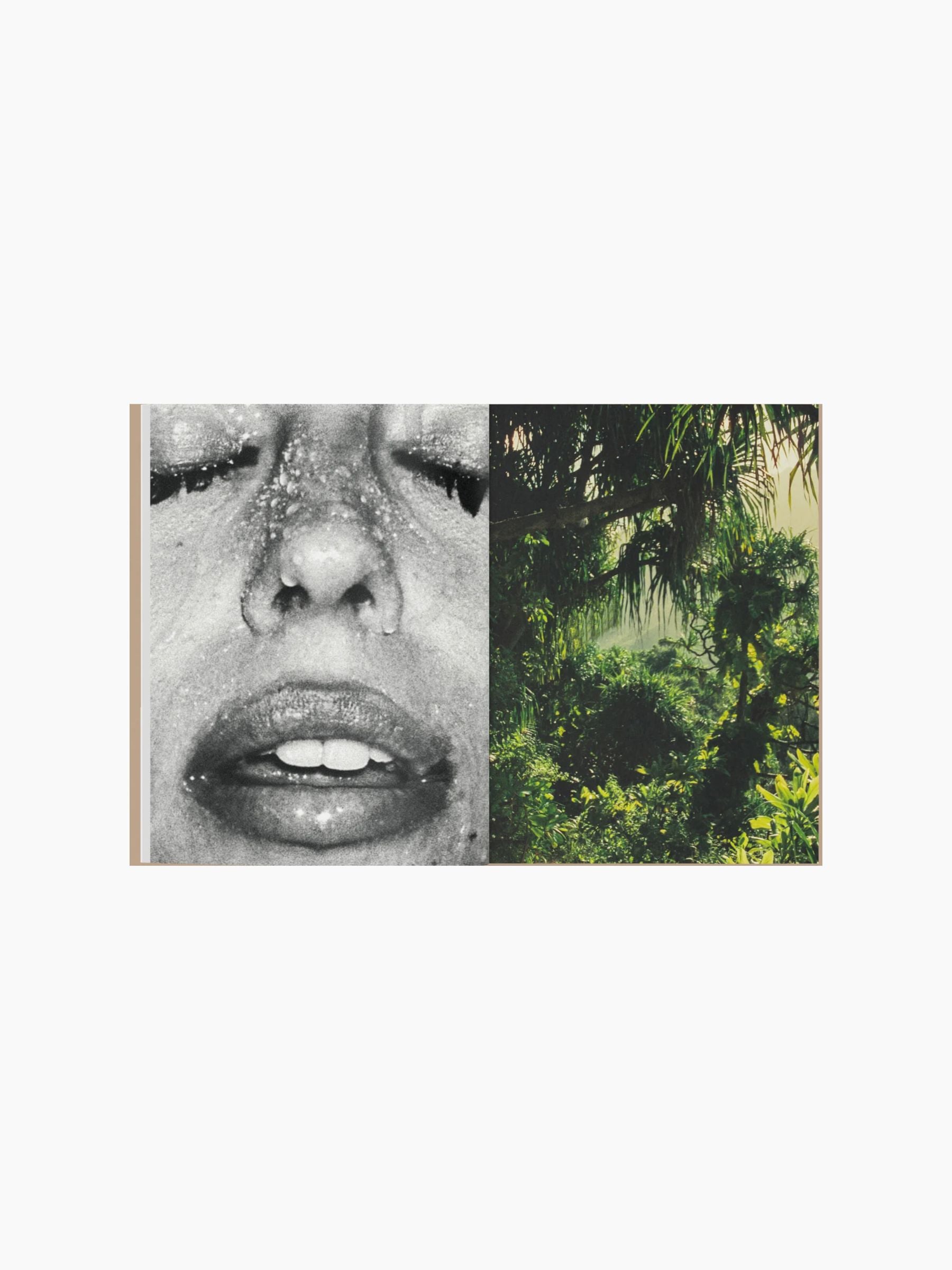 Mirage - Kate Bellm - La Selva